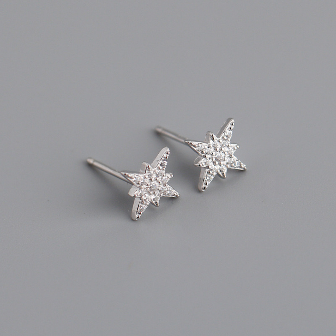 Everyday Sparkle Earrings