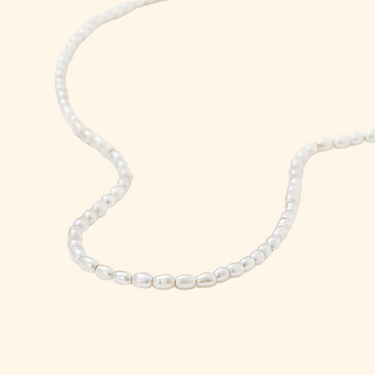 Everyday Freshwater Pearl Necklace