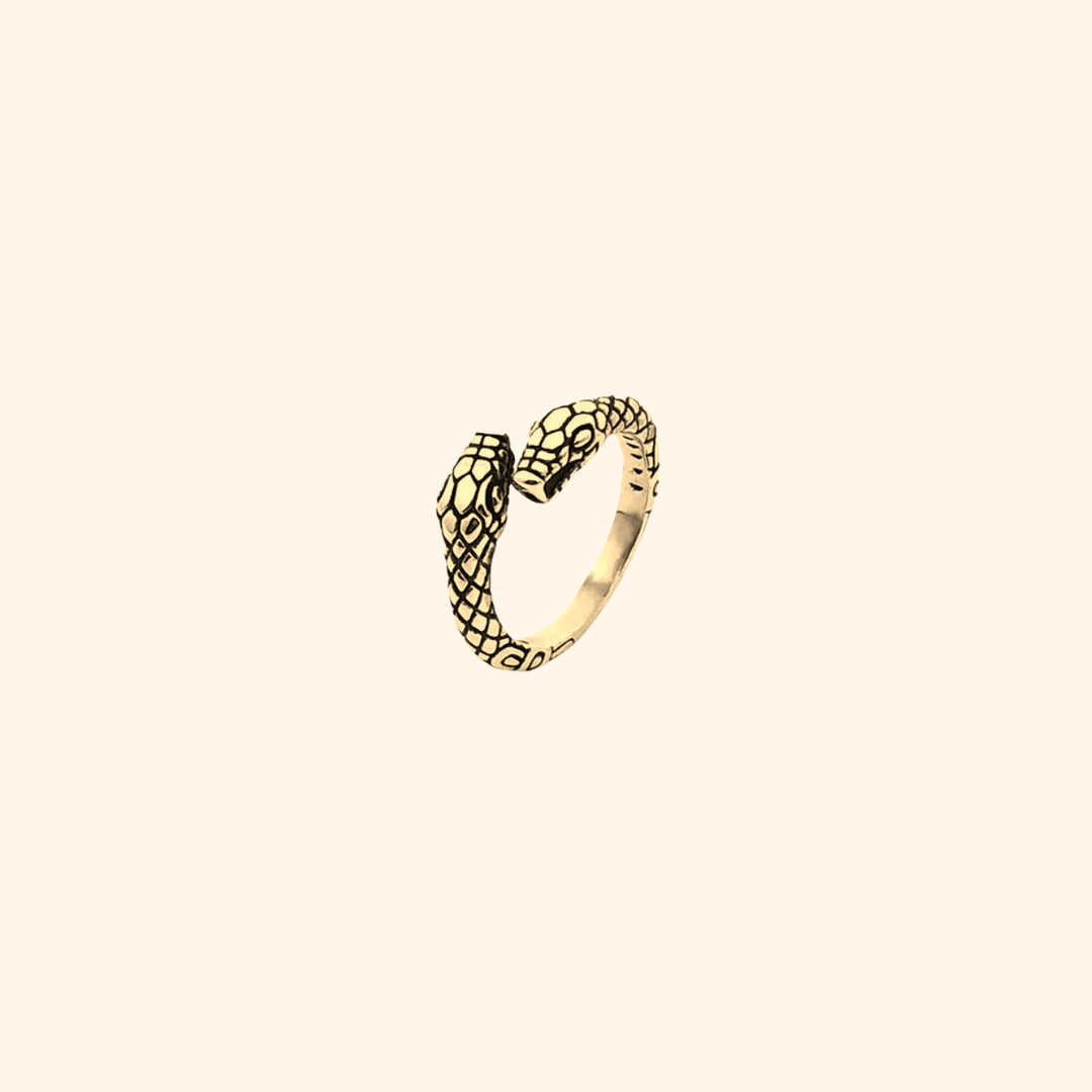 Everyday Double Headed Snake Ring