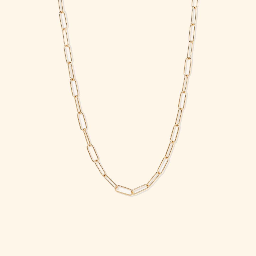 Everyday Paper Clip Necklace