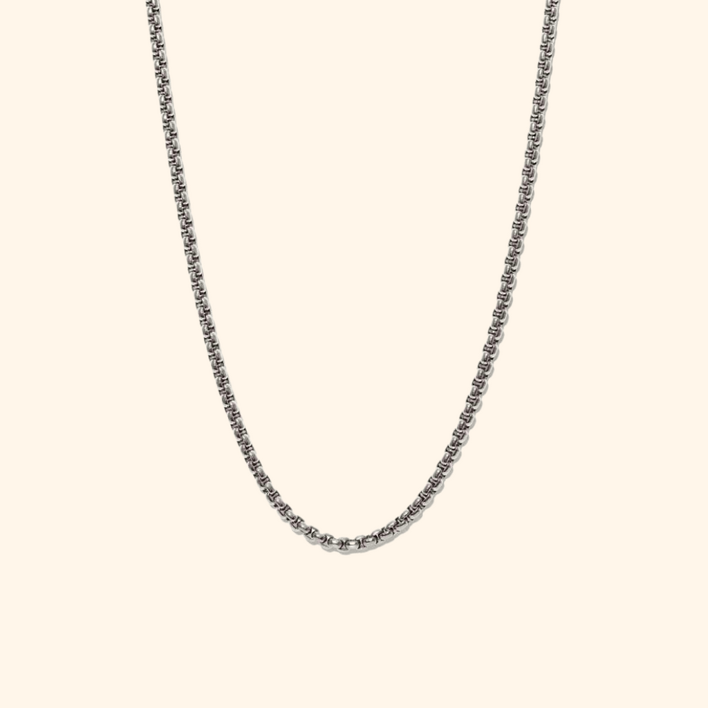 Everyday Rolo Necklace