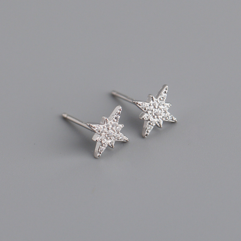 Everyday Sparkle Earrings