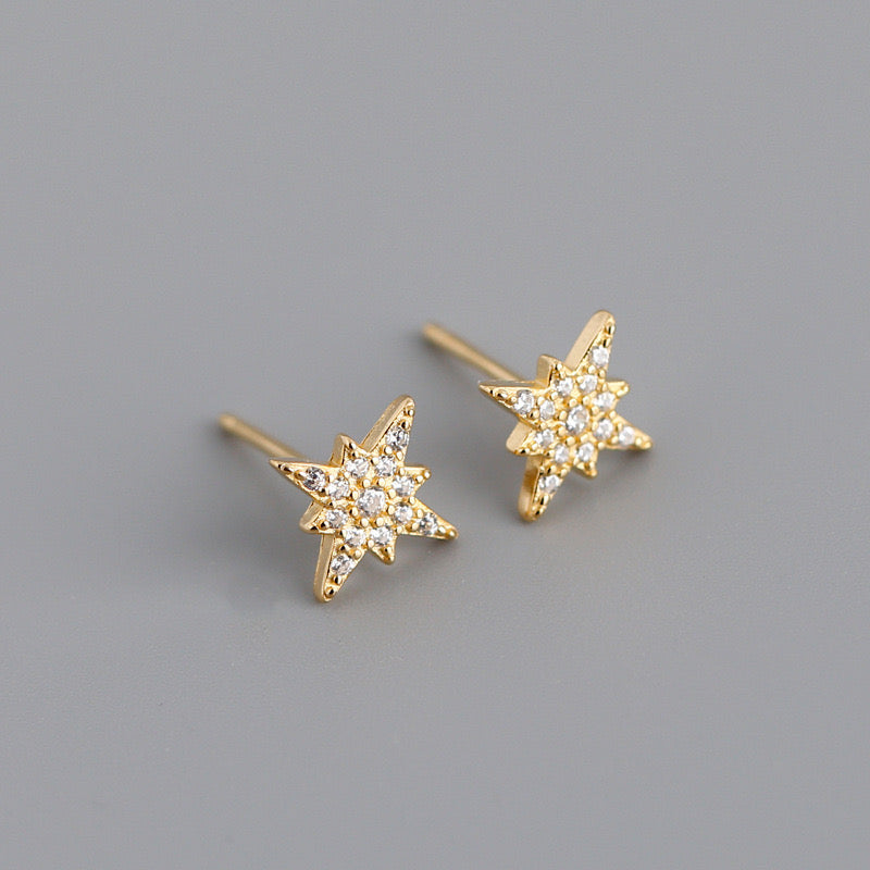 Everyday Sparkle Earrings