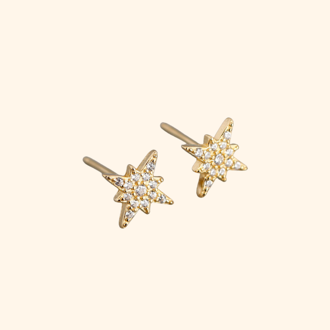 Everyday Sparkle Earrings
