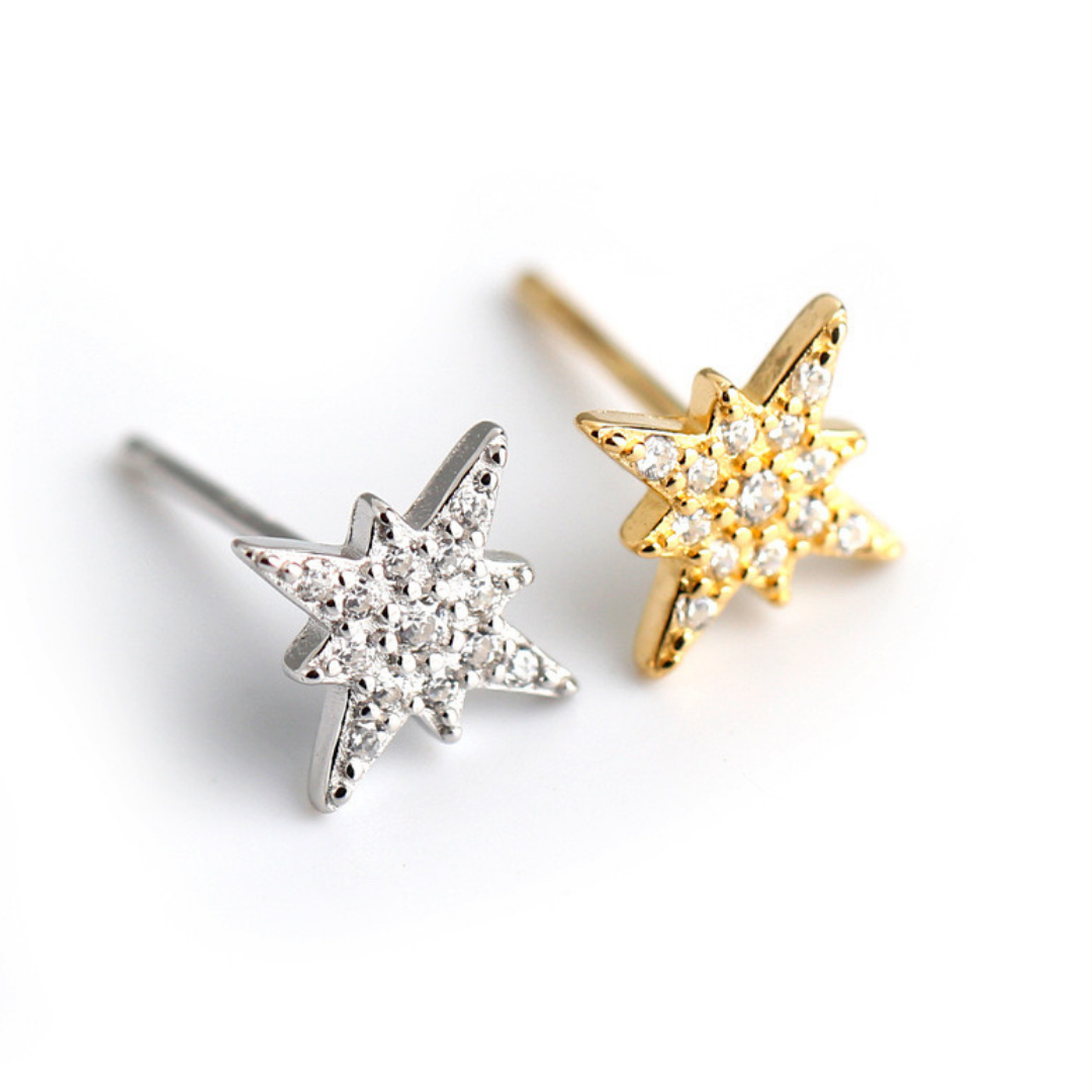 Everyday Sparkle Earrings