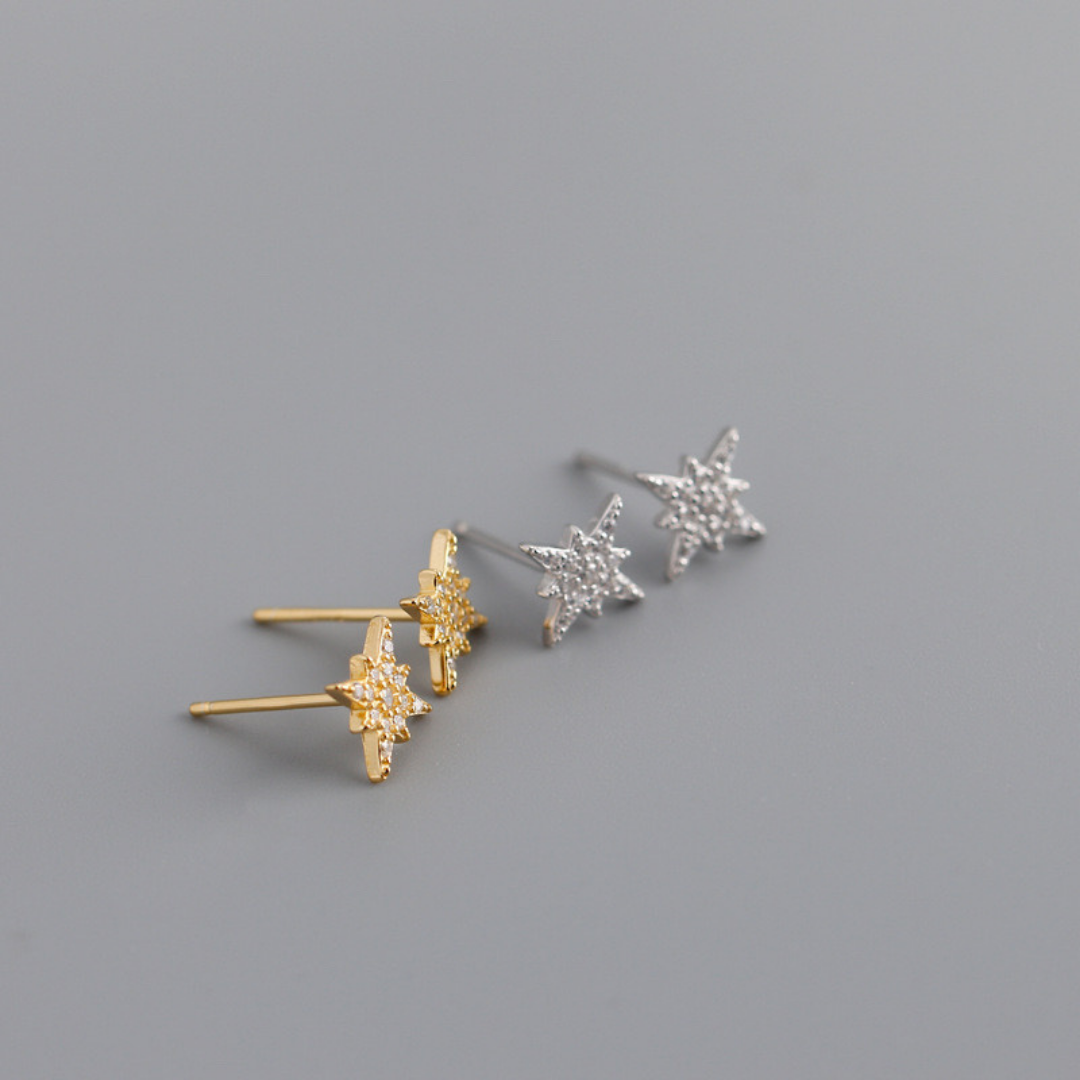 Everyday Sparkle Earrings